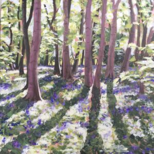 Afternoon in the Wood